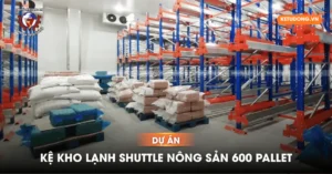 Dự Án Kệ Kho Lạnh Shuttle Nông Sản 600 Pallet